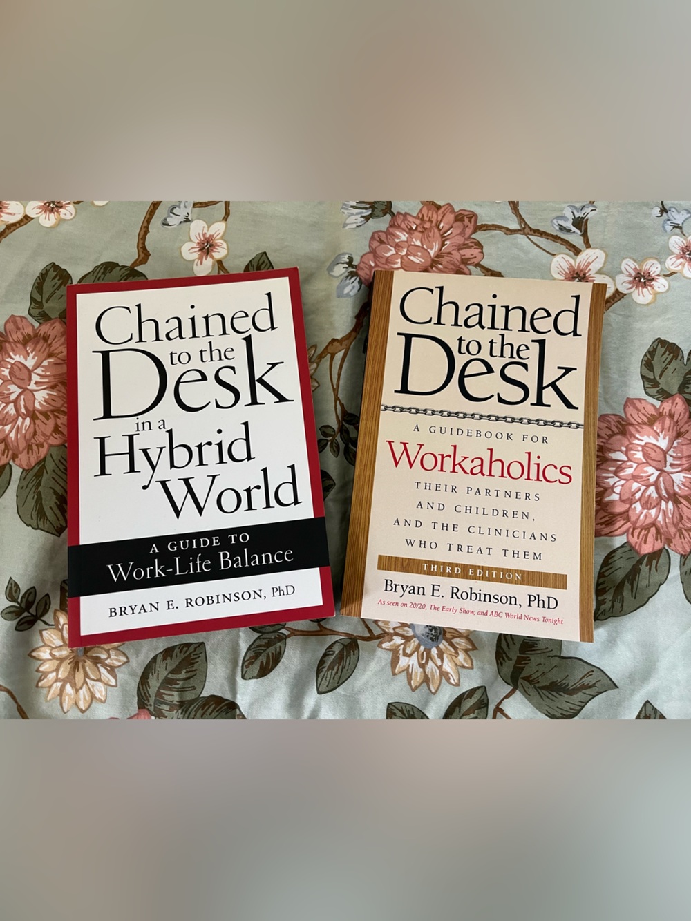 🌟Chained To The Desk set of 2 Books Brand New!